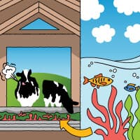 Zmniejszenie emisji jelitowych: Jak przestawienie naszych krów na nową dietę może pomóc w walce ze zmianami klimatu