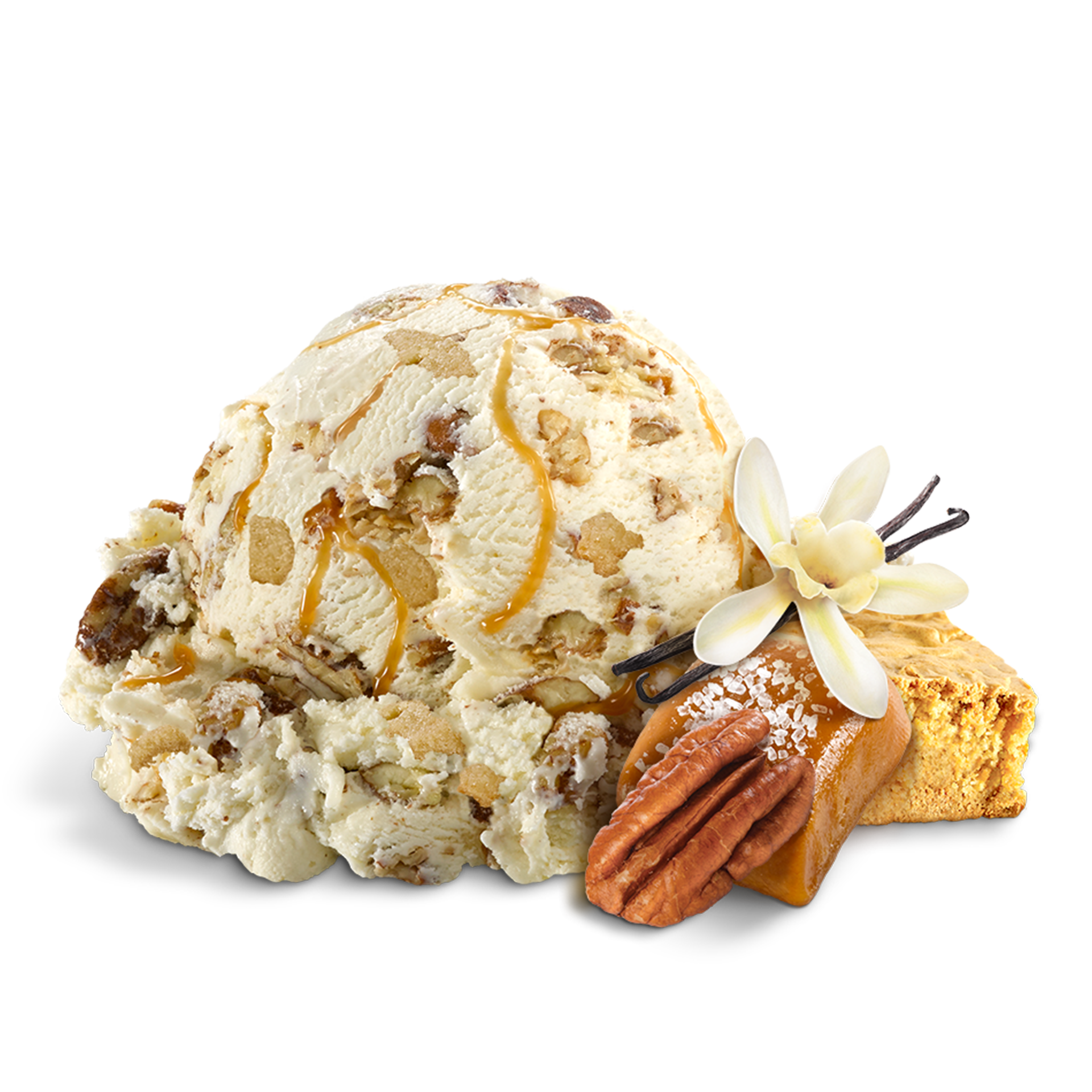 image-from-the-document-manager